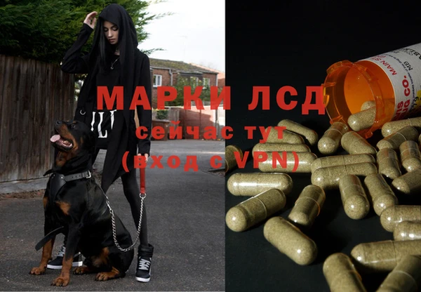 амф Алексеевка